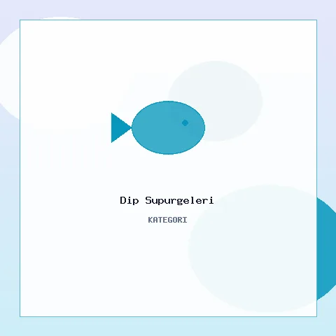 Dip Süpürgeleri